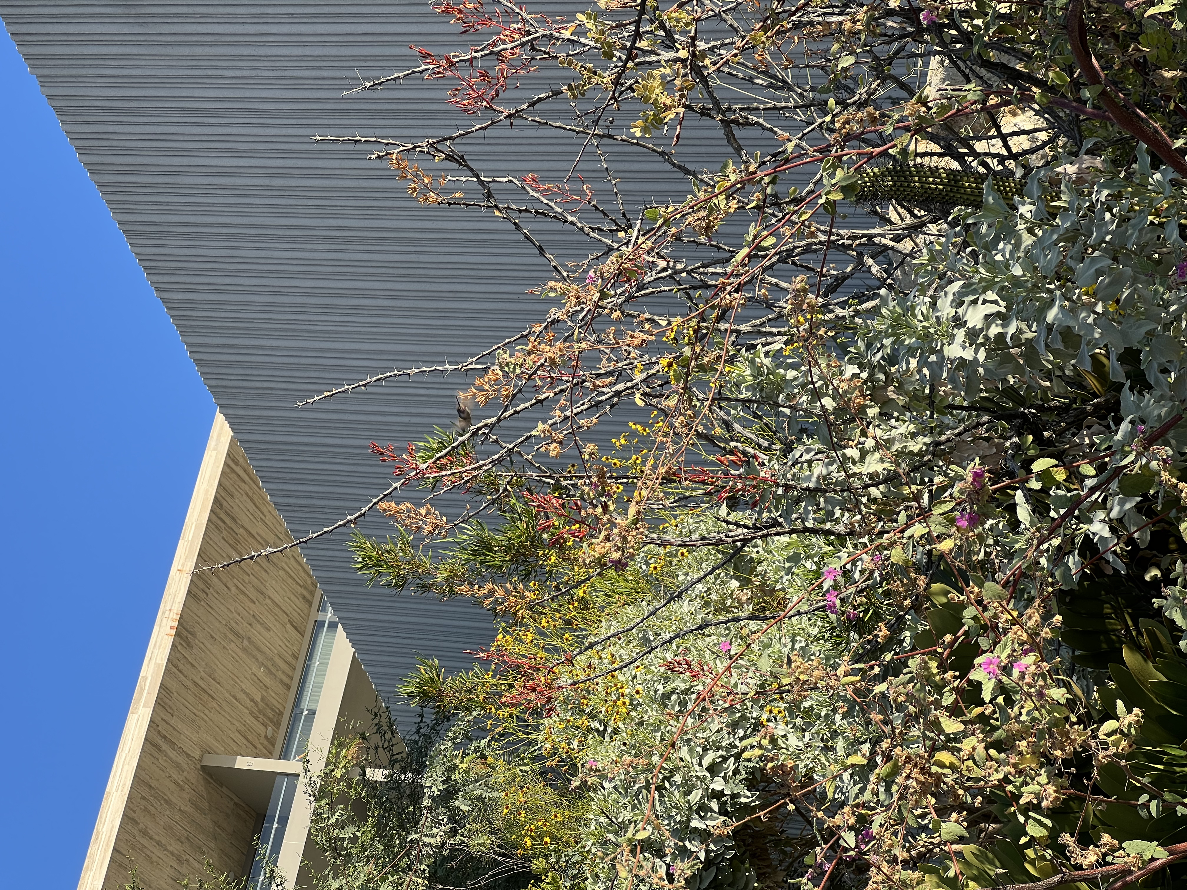 ./2024/13 - Cabo/IMG_4214.jpg